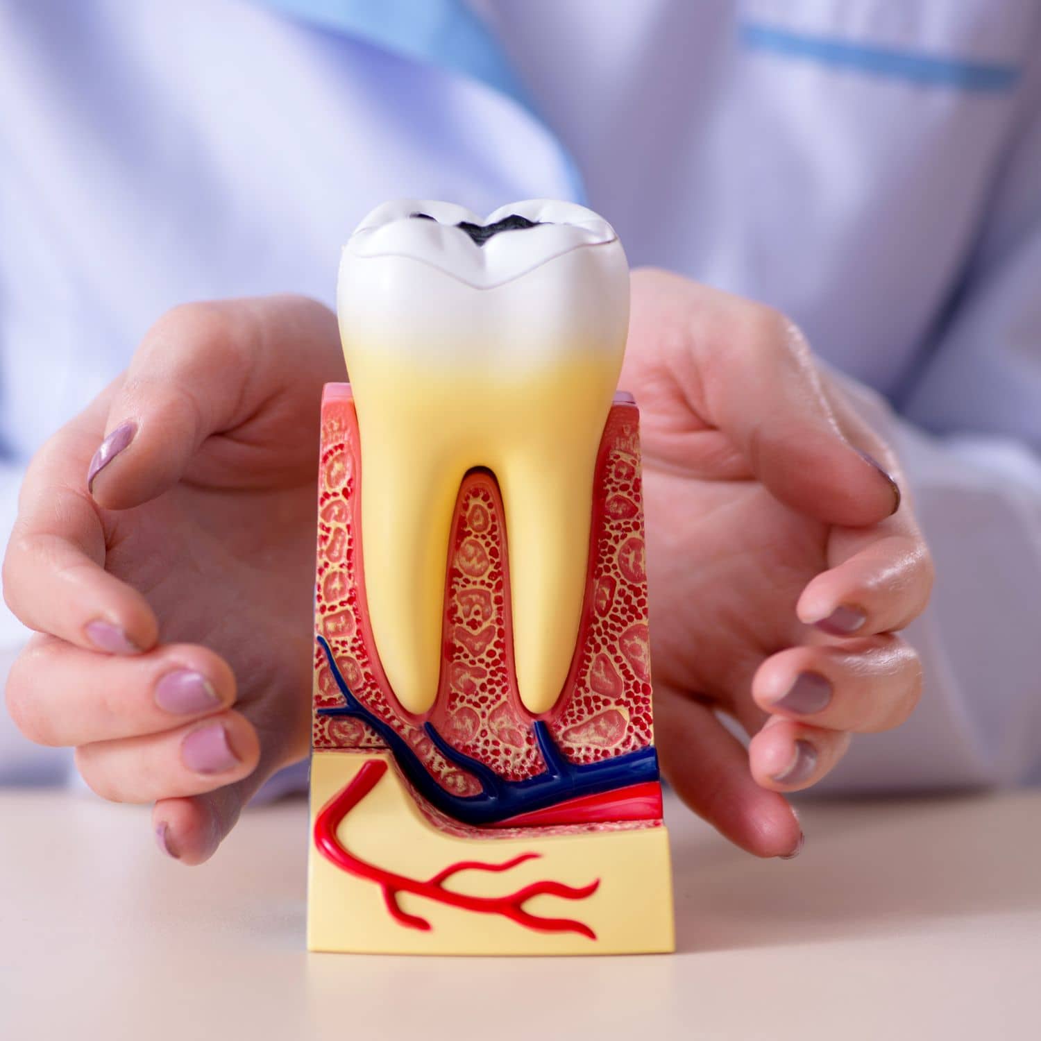 endodoncia-clinica endodoncia clínica maipú